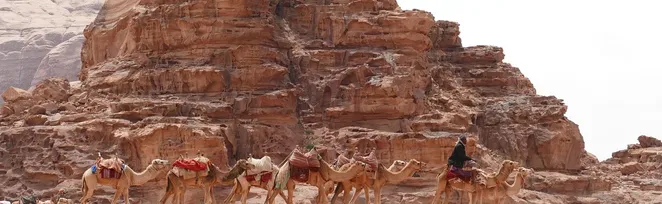 Caravane