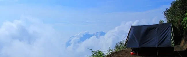 lac